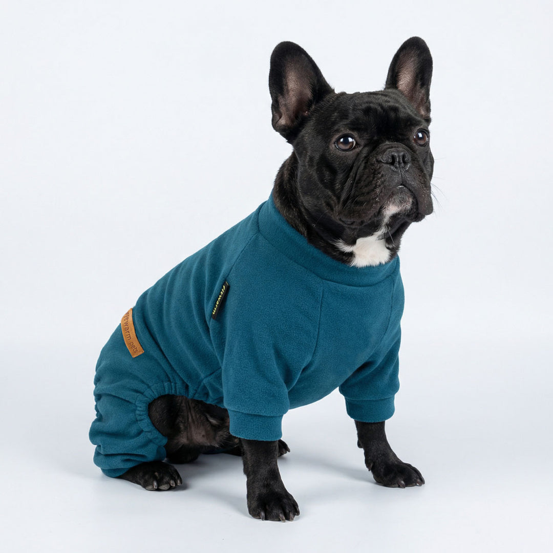 French bulldog wearing teal pajamas for dogs sitting on a clean white background