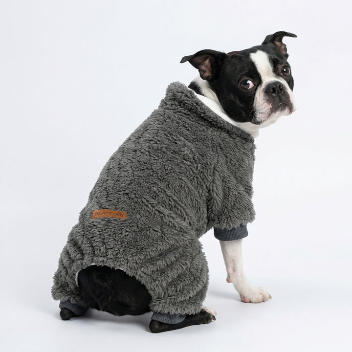 Boston Terrier in a winter fleece dog pjs