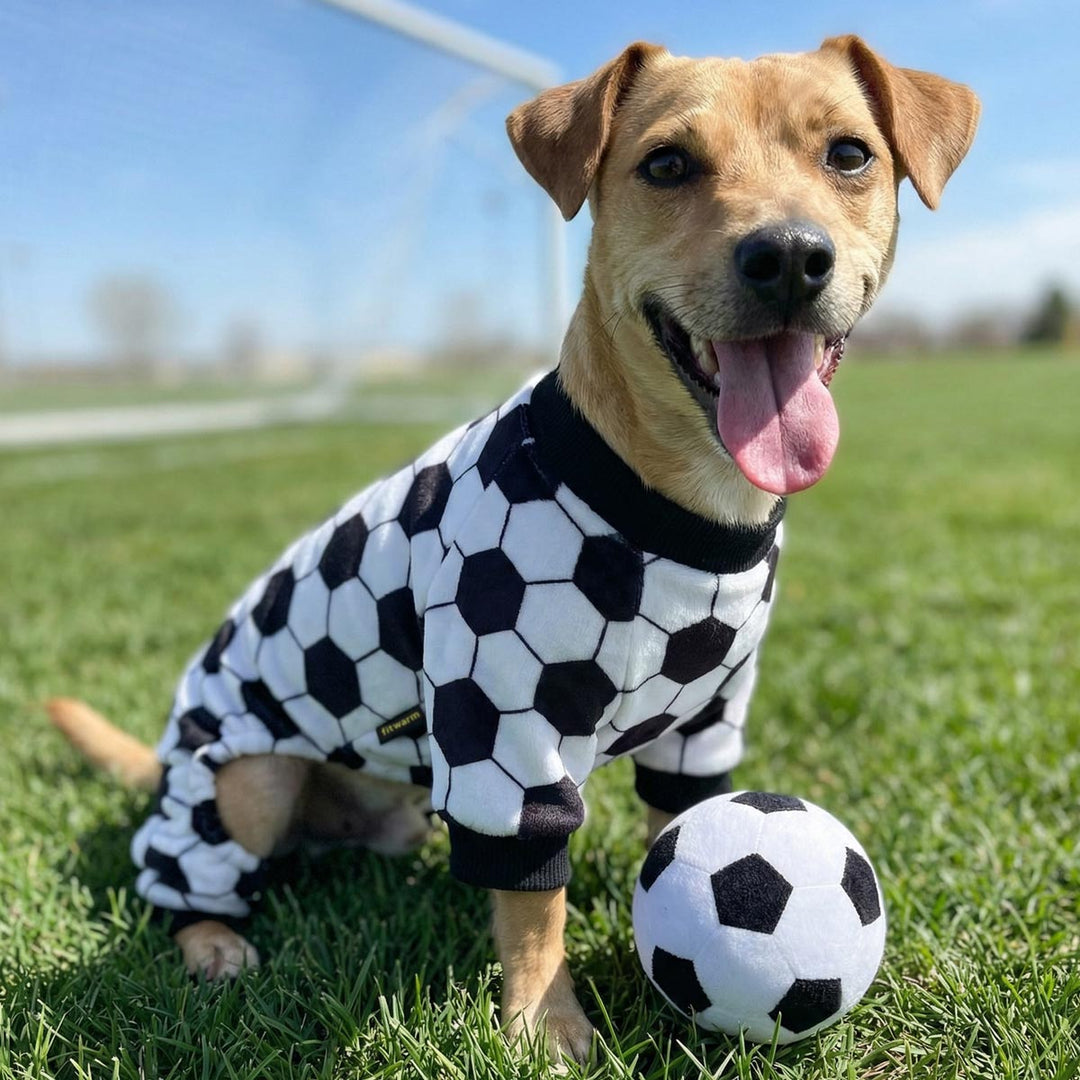 Dog wearing a soccer-themed dog onesie on a grassy field with a soccer ball.