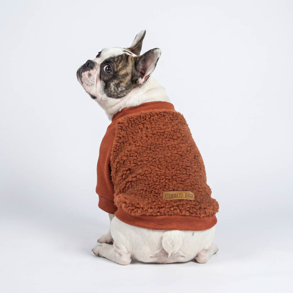 Back view of French Bulldog wearing a fuzzy sweater for dogs