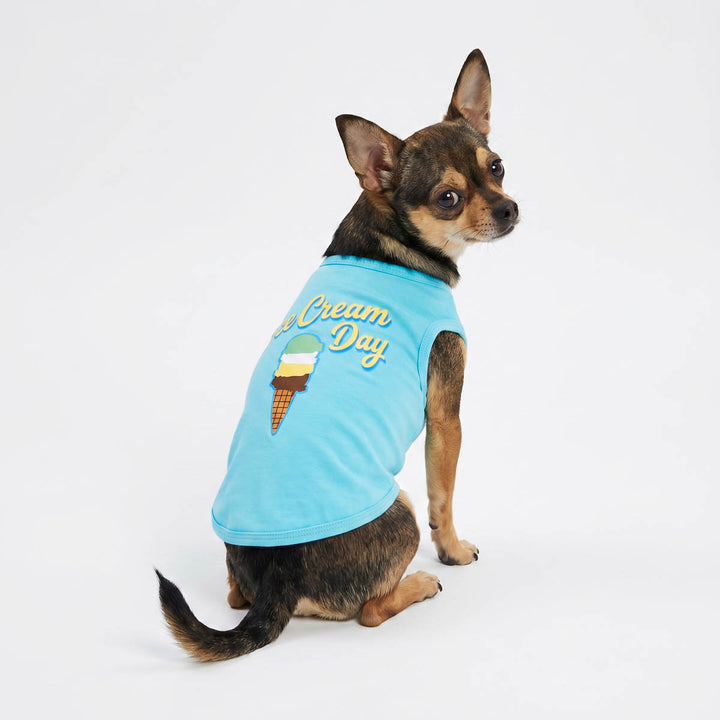 Small Chihuahua wearing a blue shirt for dogs with 'Ice Cream Day' lettering and ice cream cone graphic on a white background