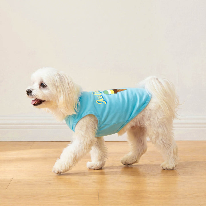 Small dog walking on a wooden floor with a blud dog tank top