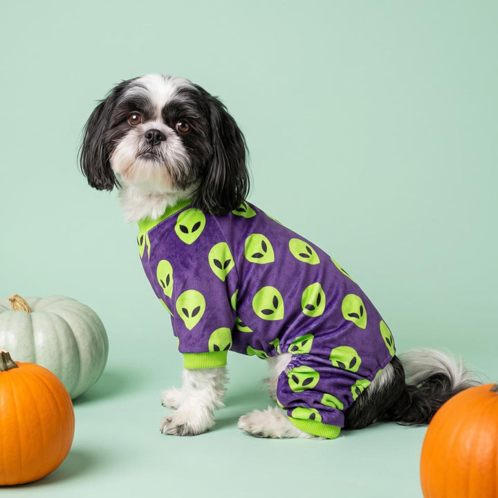 Small dog sitting next to a few pumpkins with a cozy pajamas for dogs with alien prints