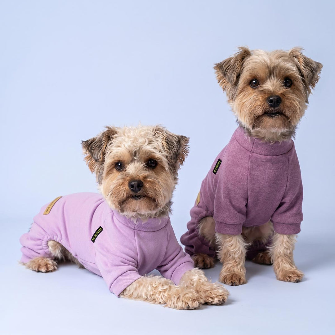 Purple dog pjs worn by two small dogs sitting on a blue background