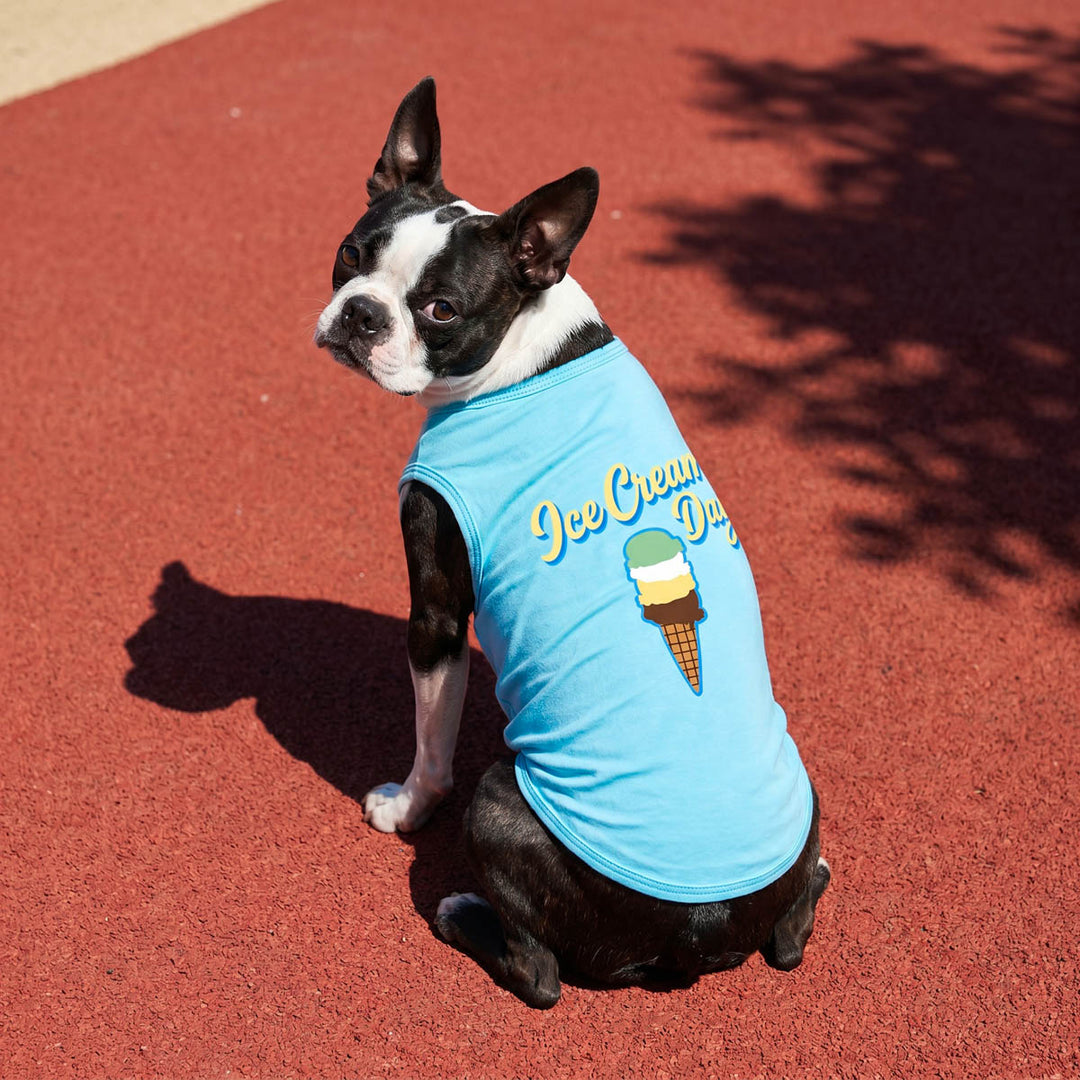 Dog wearing a blue dog tshirt with ice cream cone design on a red surface