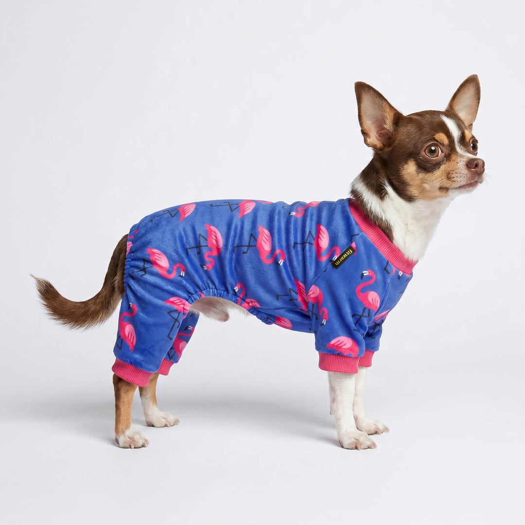 Chihuahua in a dog pjs with flamingo prints