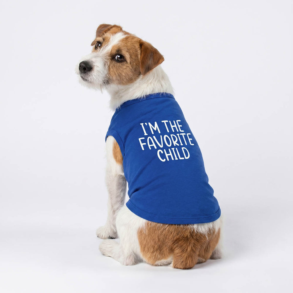 Small brown and white dog wearing a royal blue dog t-shirt with the text 'I'M THE FAVORITE CHILD' in white, sitting against a plain white studio background