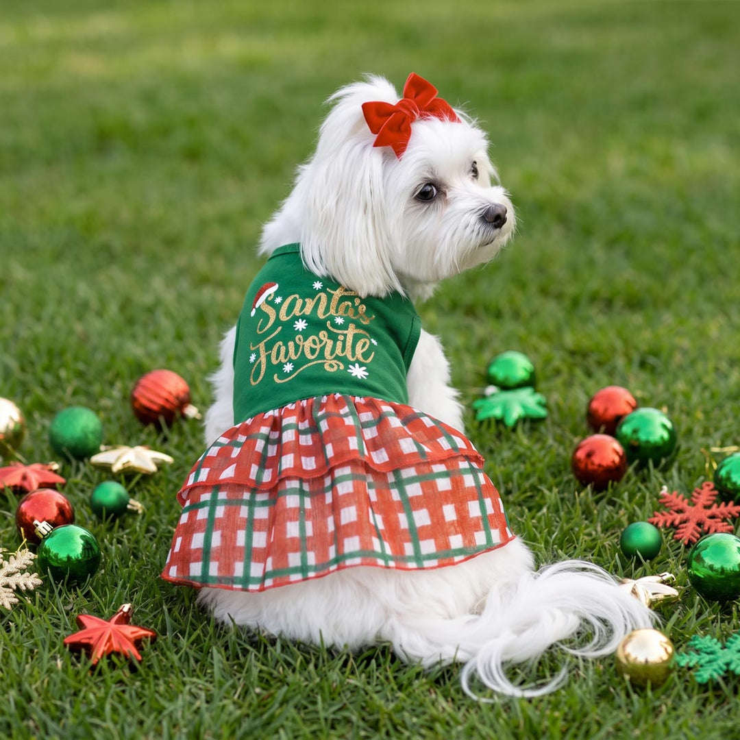 Small dog sitting on the grass and wearing a dog tulle dress with 'Santa's Favorite' lettering and snowflake details