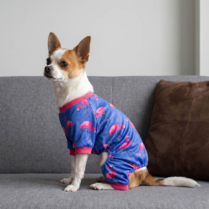 Chihuahua sitting on the sofa with a flamingo pajamas for dogs