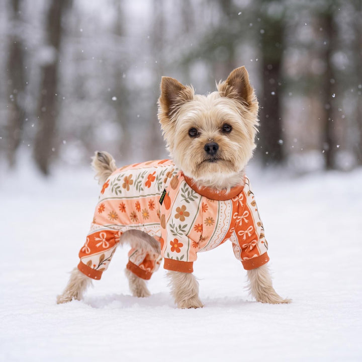 Small tan dog standing in the snow wearing a cozy patterned winter dog onesie with orange, cream, and floral motifs, with a blurred forest background and falling snow