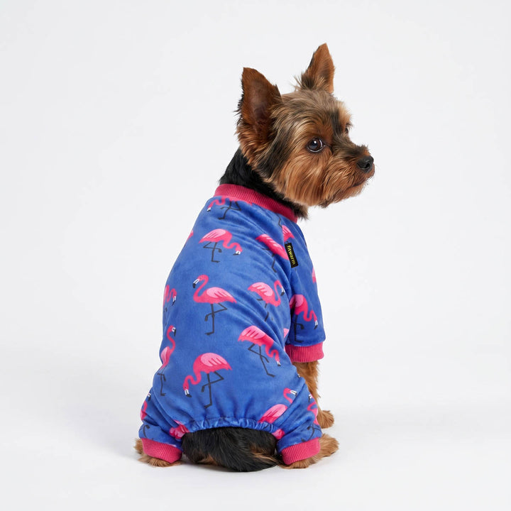 Back view of Yorkie wearing a flamingo dog pjs