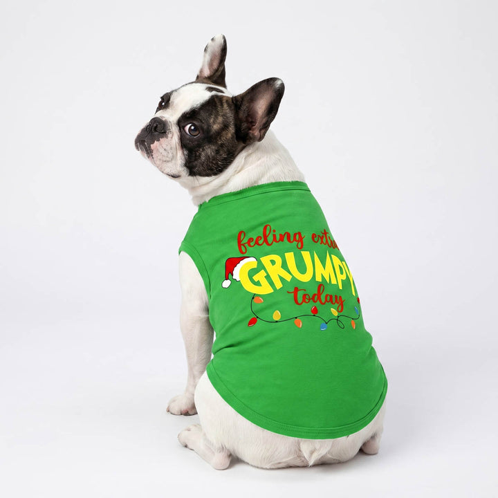 Small black-and-white dog wearing a bright green shirt for dogs with the lettering 'feeling extra GRUMPY today' in red and yellow lettering