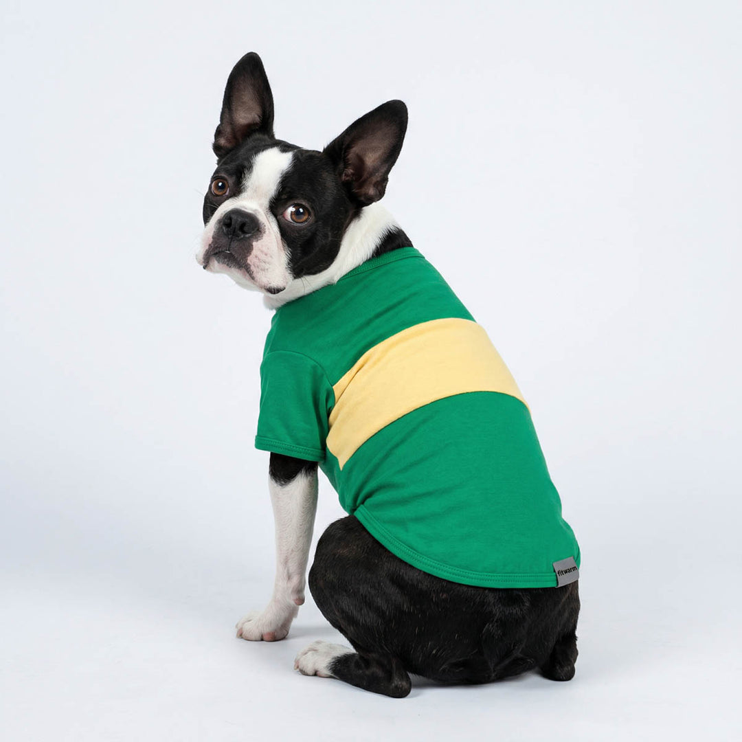 Dog wearing a green and yellow colorblock dog shirt on a white background