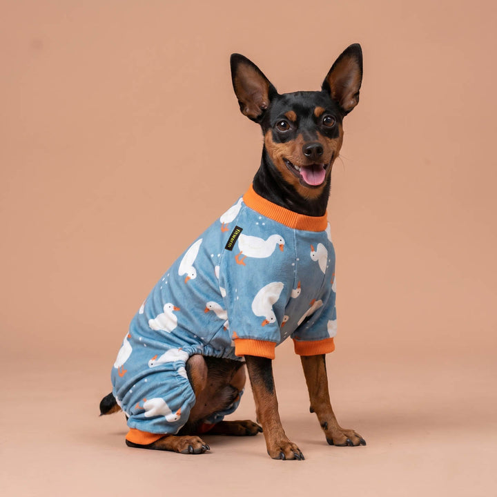 Dog wearing a blue dog pjs with duck pattern on a beige background