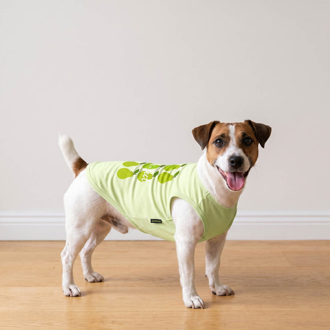 Dog wearing a light green dog t-shirt with pear patterns on a wooden floor.
