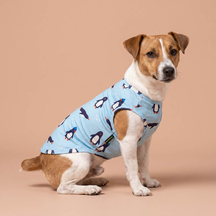 Funny penguin shirt for dogs worn by a small dog sitting on a beige background