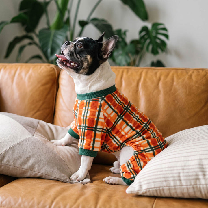 French Bulldog sits on a couch wearing a bright orange plaid fleece pajama for fogd with green trim