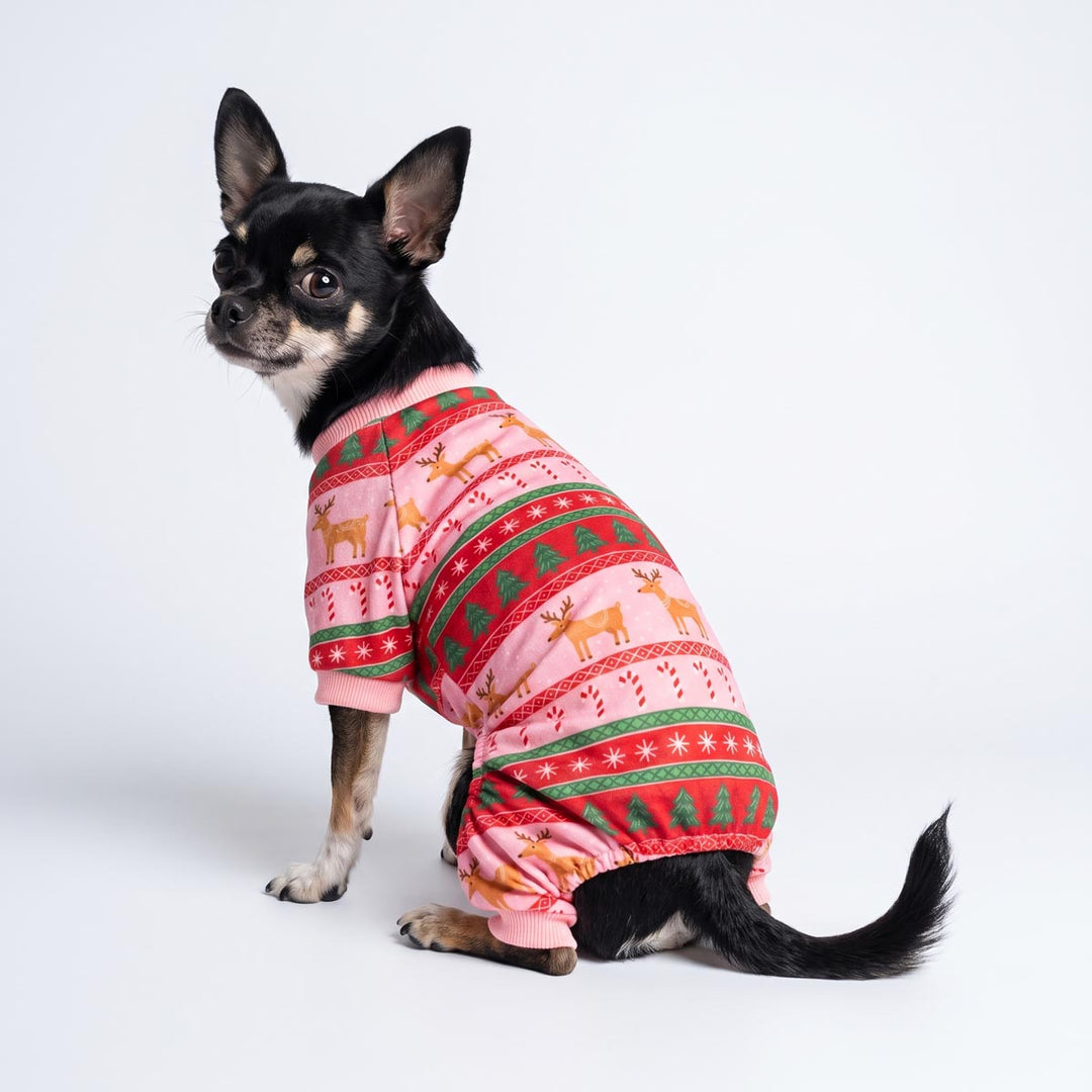 Small black and tan dog wearing a pink holiday-themed pajamas for dogs with red and green patterns, sitting against a plain white studio background