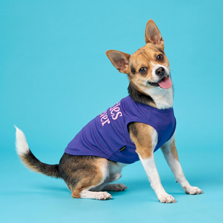Smiling dog wearing a playful dog tshirt with 'Besties Fur-ever' lettering on a blue background