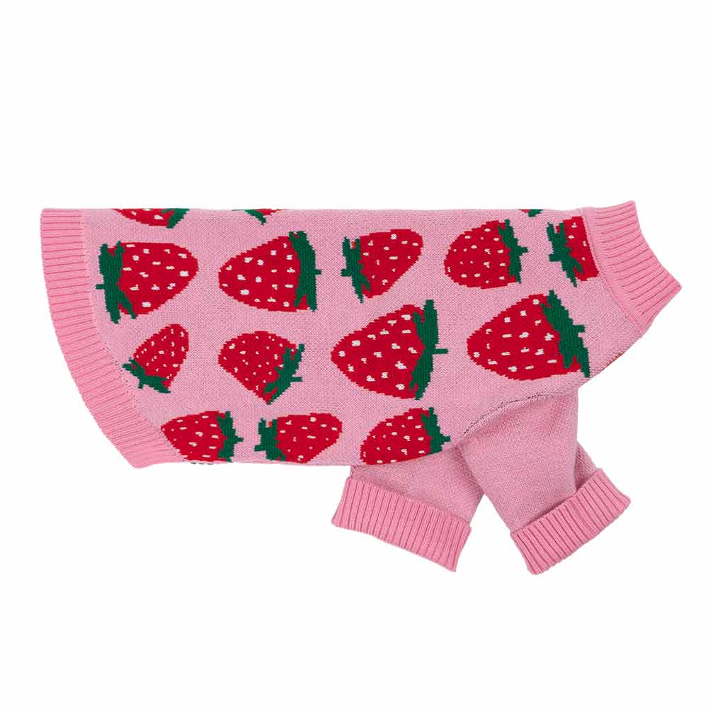 Cute pink dog sweater decorated with strawberries, shown in a flat lay format.