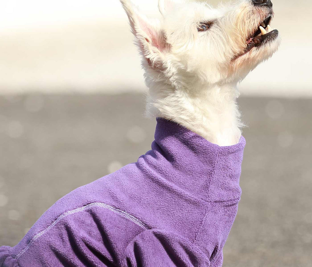 Turtleneck Fleece Dog Sweater Dress - Fitwarm