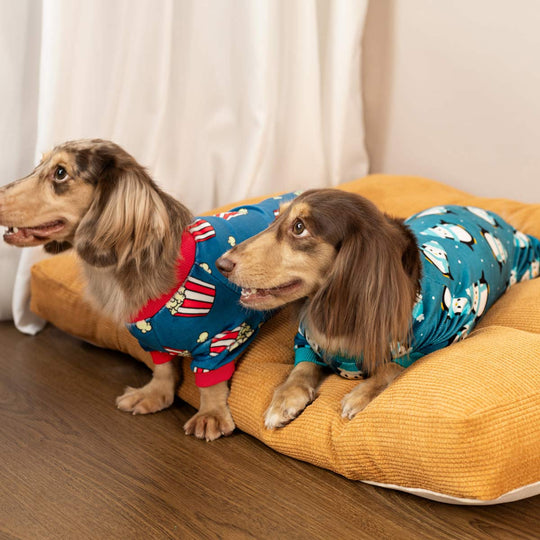 Pajamas for Dogs with Feet | Dog Pajamas | Fitwarm