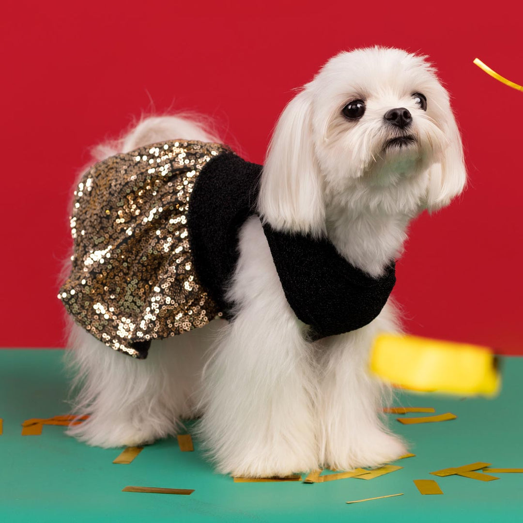 Boy Dog Clothes Gold Sequin Dog Dress Sparkly Pet Party Attire Fitwarm Boy Dog Clothes Gold Sequin Dog Dress Sparkly Pet Party Attire Fitwarm