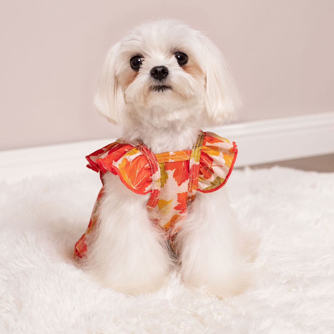 Fall Maple Ruffle Dog Dress | Autumn Colors & Comfort Fitwarm Fall Maple Ruffle Dog Dress | Autumn Colors & Comfort Fitwarm