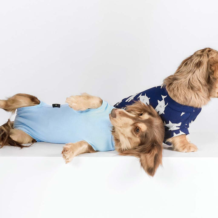 Dachshunds in Blue Recovery Dog Shirts with Shark Prints - Fitwarm Dog Clothes