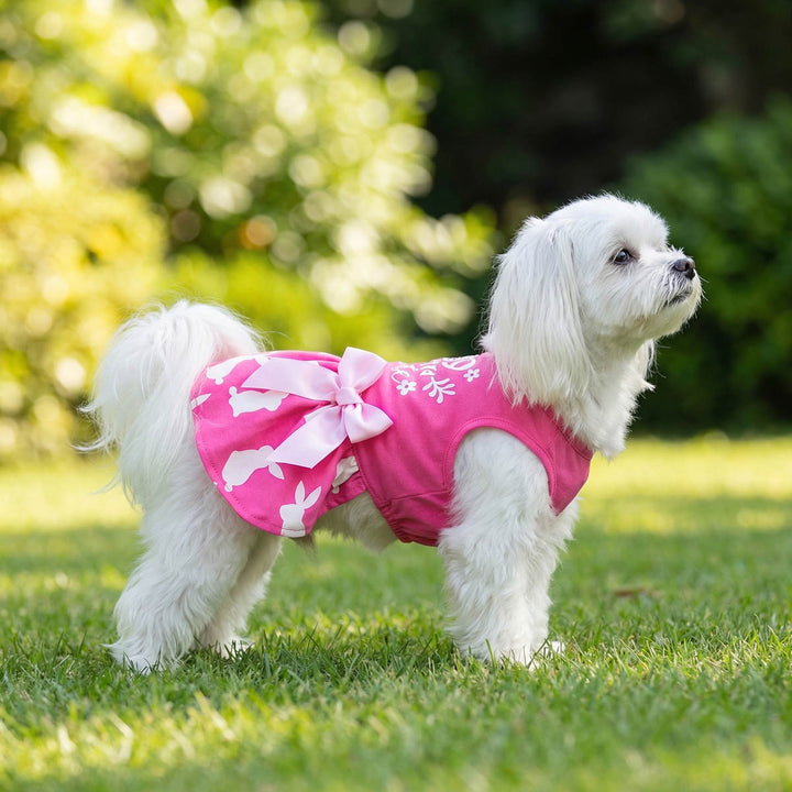 Small white dog wearing a pink Easter dress for dogs with a bow standing on grass