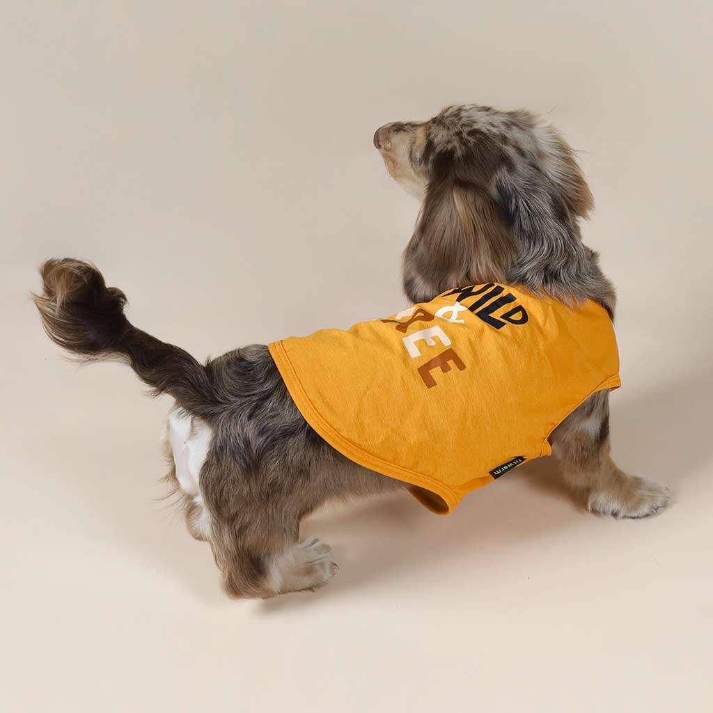 Dachshund in a 'Wild & Free' Dog Shirt - Fitwarm Dog Clothes