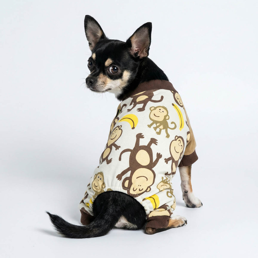Back view of Chihuahua wearing a funny monkey dog pjs
