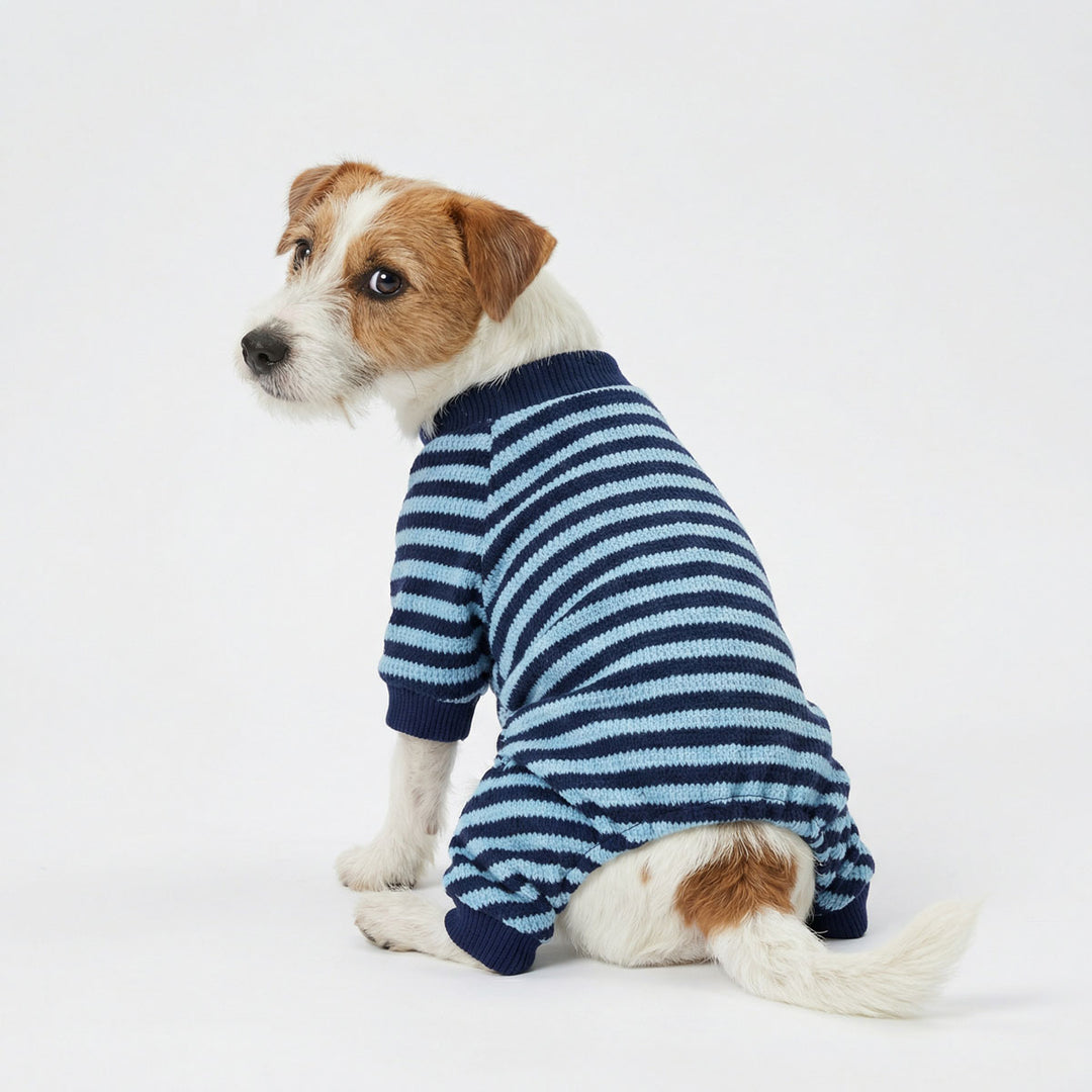 Small dog sitting with a classic striped pajamas for dogs