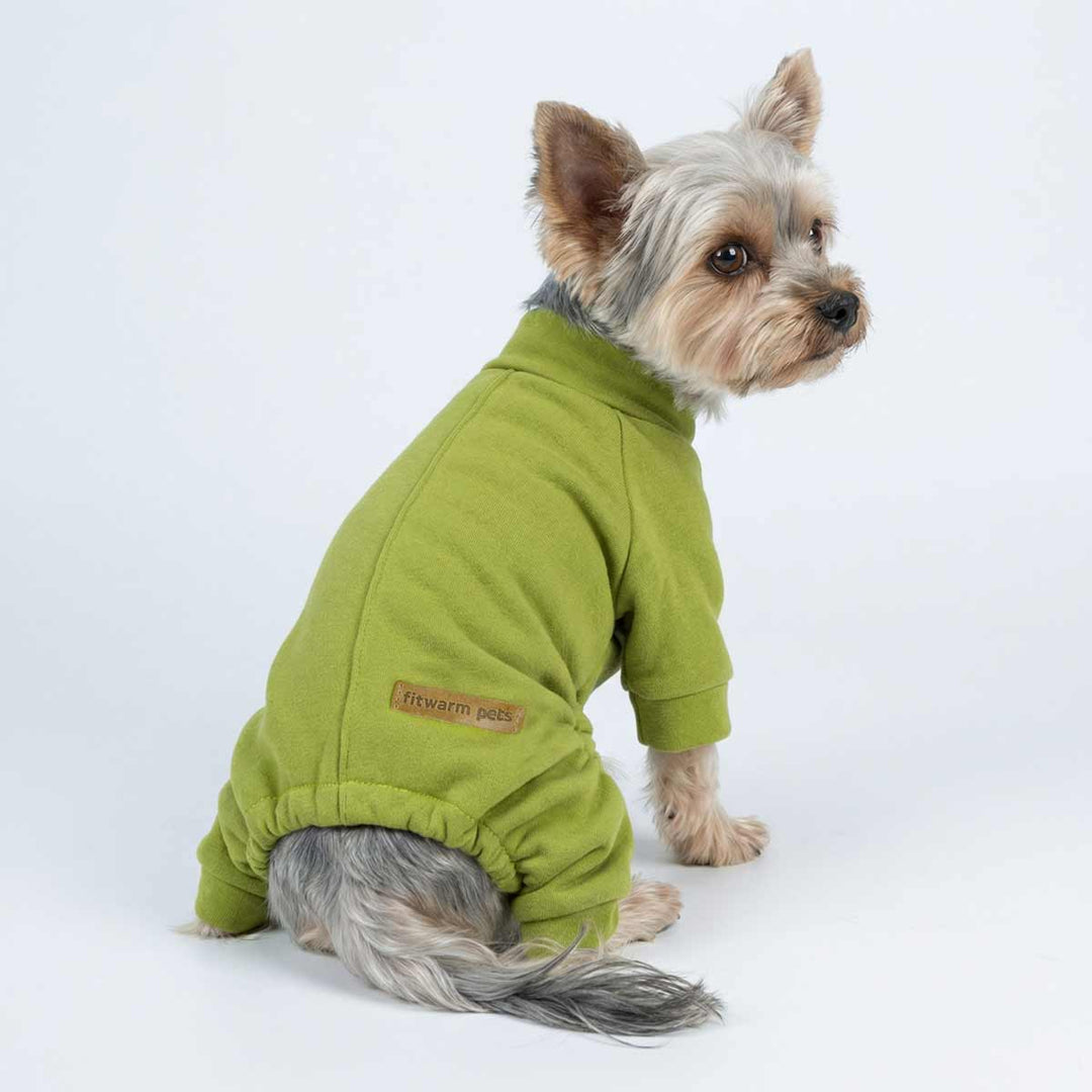 Yorkshire terrier in solid green dog pajamas shown from back angle