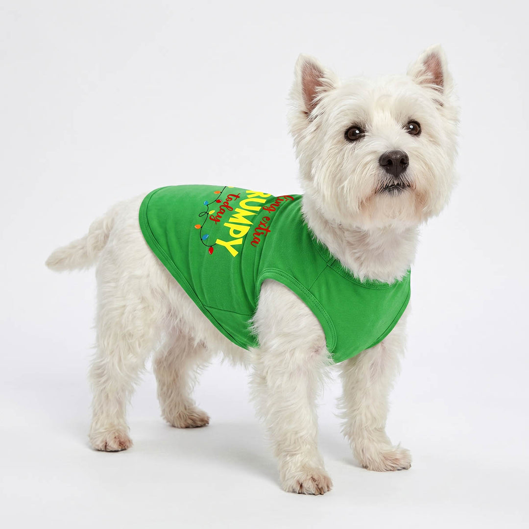 Small white dog wearing a bright green Christmas dog tank top with yellow 'Happy Christmas' text and holiday graphics, photographed on a clean white studio background