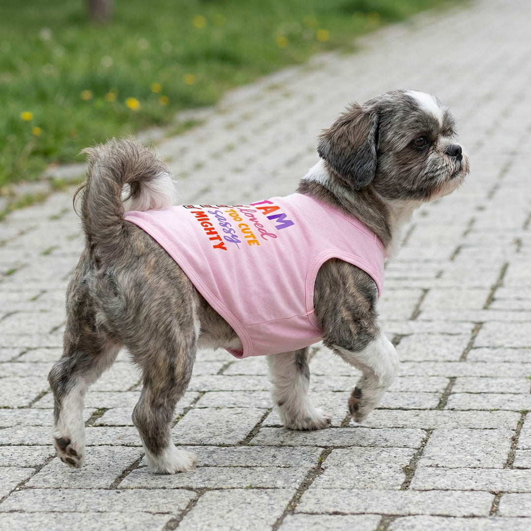 Small dog wearing a pink dog t-shirt with colorful text on a paved walkway