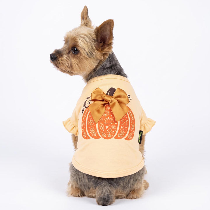 Back view of a yorkie in a Thanksgiving shirt for dogs with pumpin and bow
