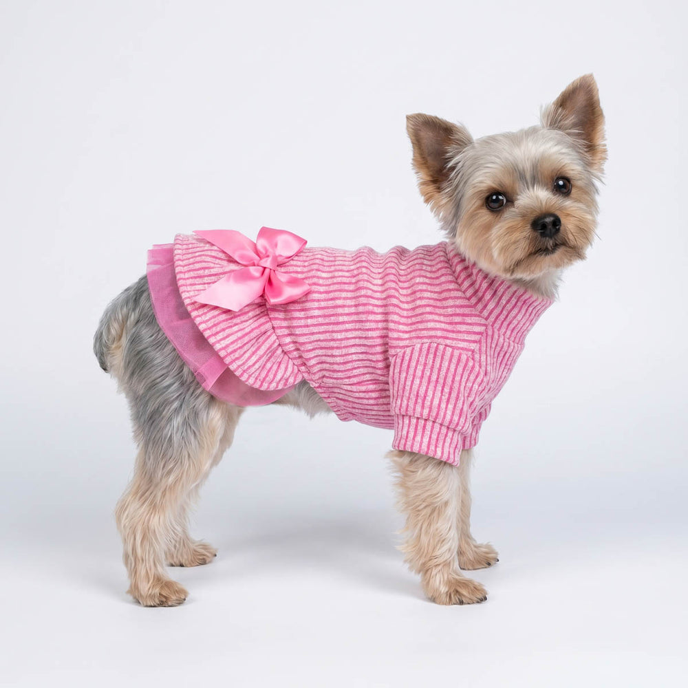 Yorkie wearing a pink dog knitted dress in a white background 