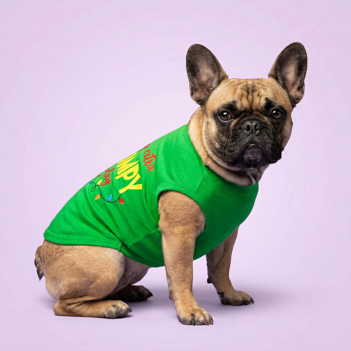 French Bulldog wearing a bright green sleeveless dog t shirt with a colorful graphic print, posed against a solid light purple background