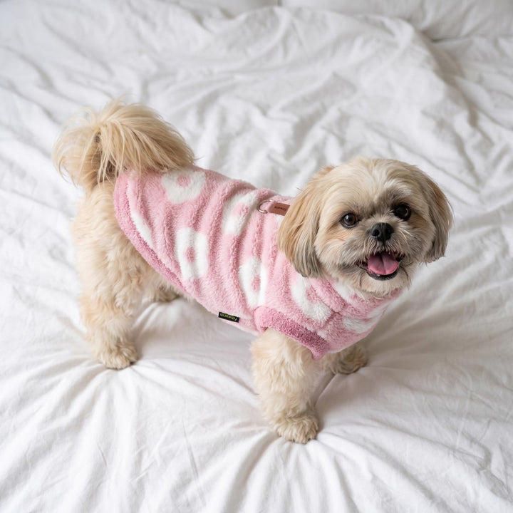 Small dog standing on the bed and with a fuzzy dog coat