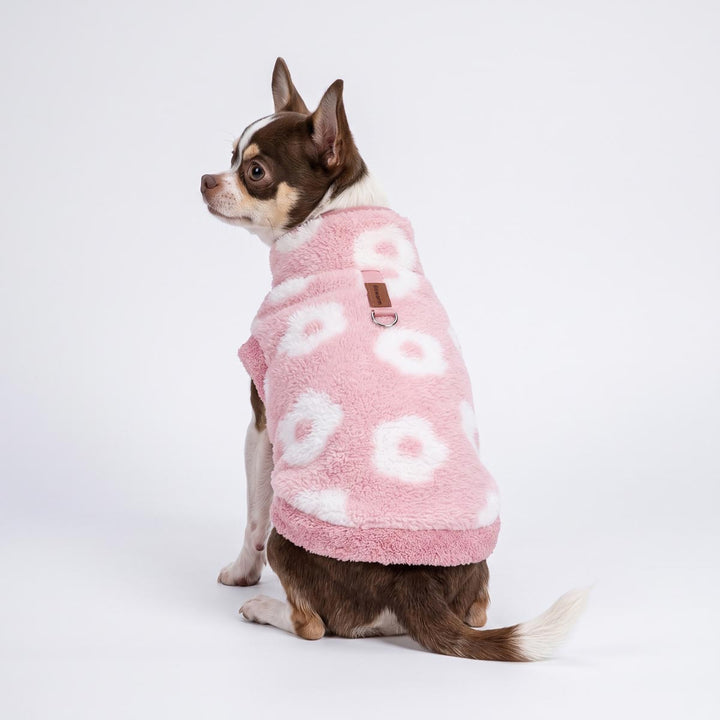 Back view of a fuzzy coat for dogs worn by a small Chihuahua sitting on the white background