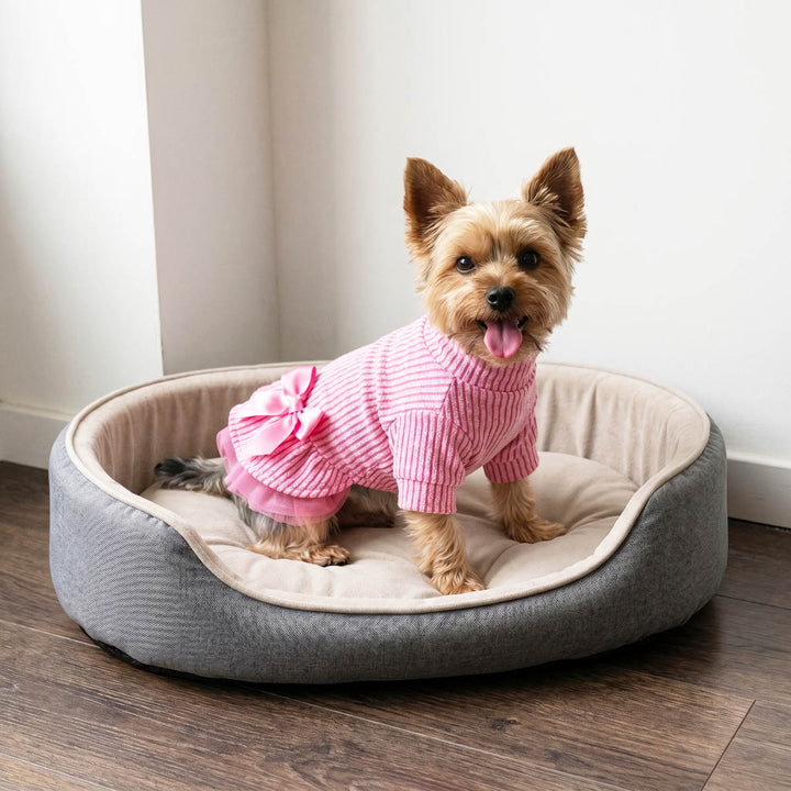 Yorkie sitting in a pad and wearing a pink dog tutu dress
