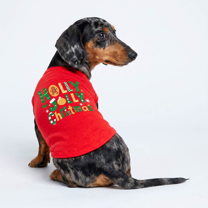 Dachshund wearing a red short-sleeve t-shirt for dogs with 'Holly Jolly Christmas' printed on the back in green, gold, and white, photographed against a seamless white studio background