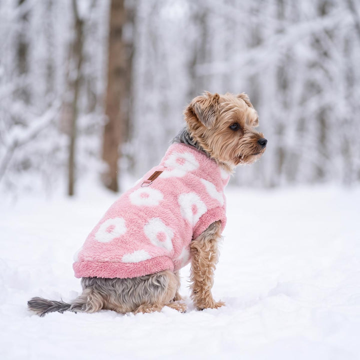 Small dog sitting on the snow and wearing a fuzzy dog winter coat with D-ring design and floral prints