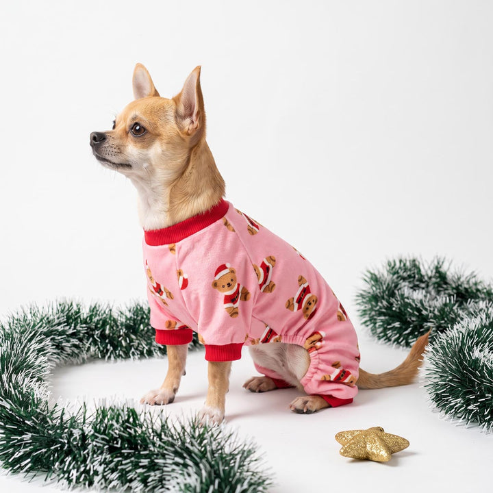 Small dog sitting on the floor and wearing a pink dog onesie in funny santa bear prints