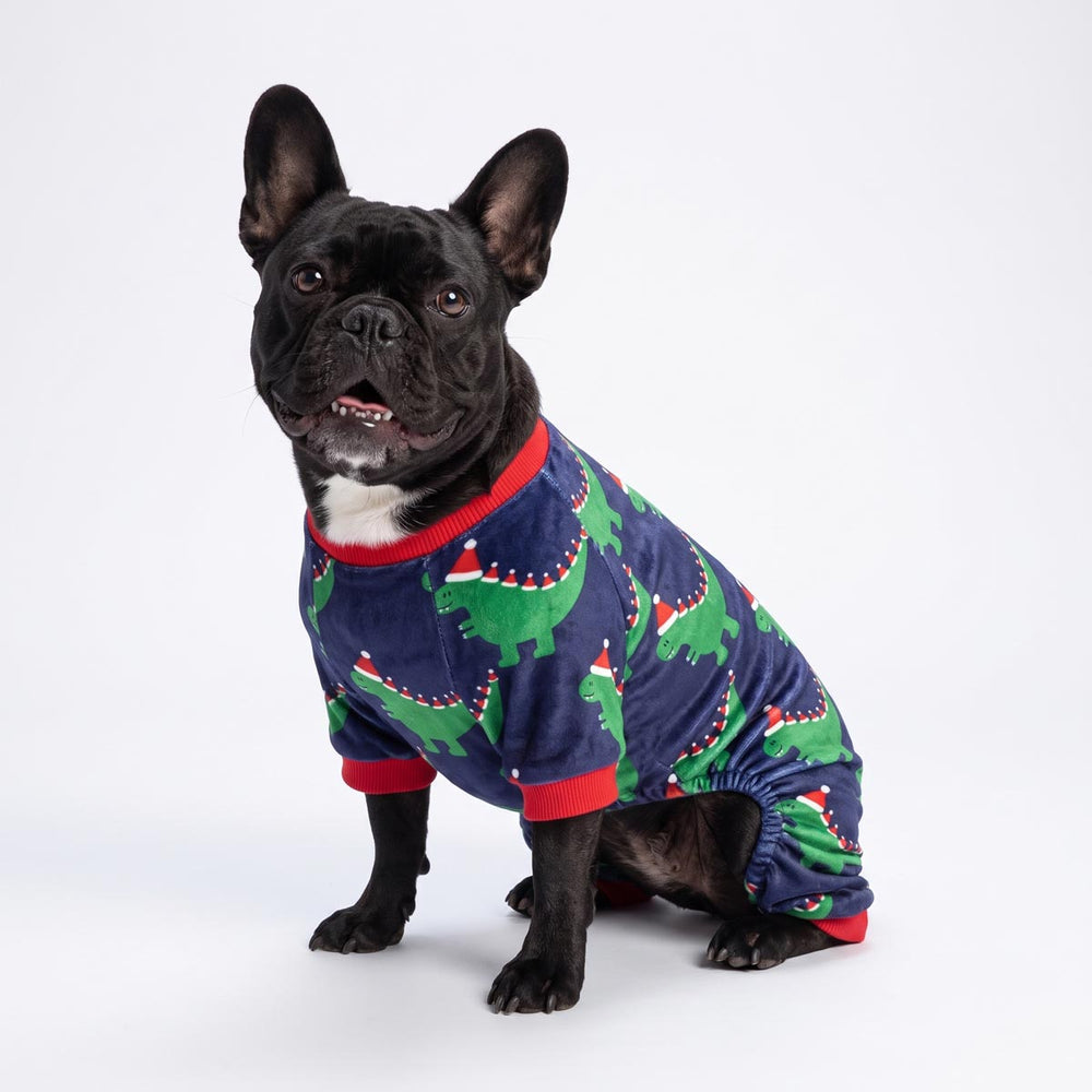 Black French Bulldog wearing a Christmas dog pjs with dinosaur in santa hats prints