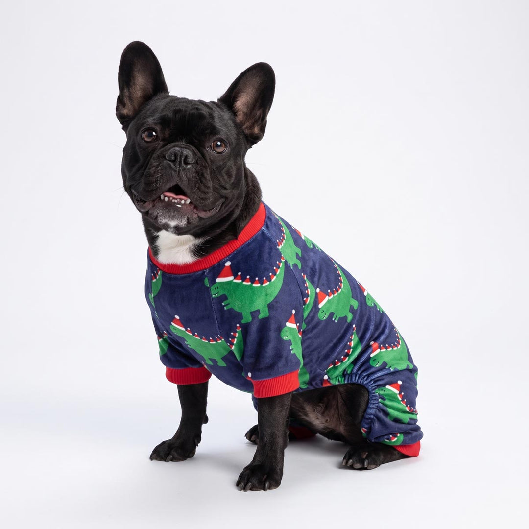 Black French Bulldog wearing a Christmas dog pjs with dinosaur in santa hats prints