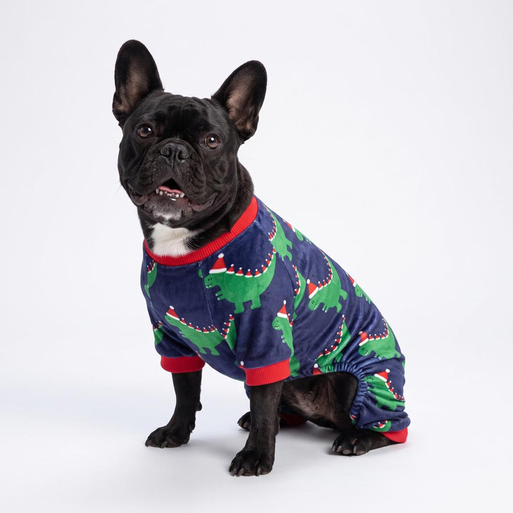 Black French Bulldog wearing a Christmas dog pjs with dinosaur in santa hats prints
