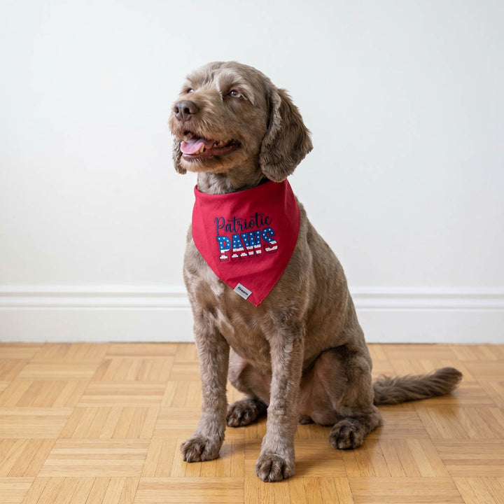 Small dog sitting on the floor and wearing a red dog bandana in 'Patriotic Paws' lettering