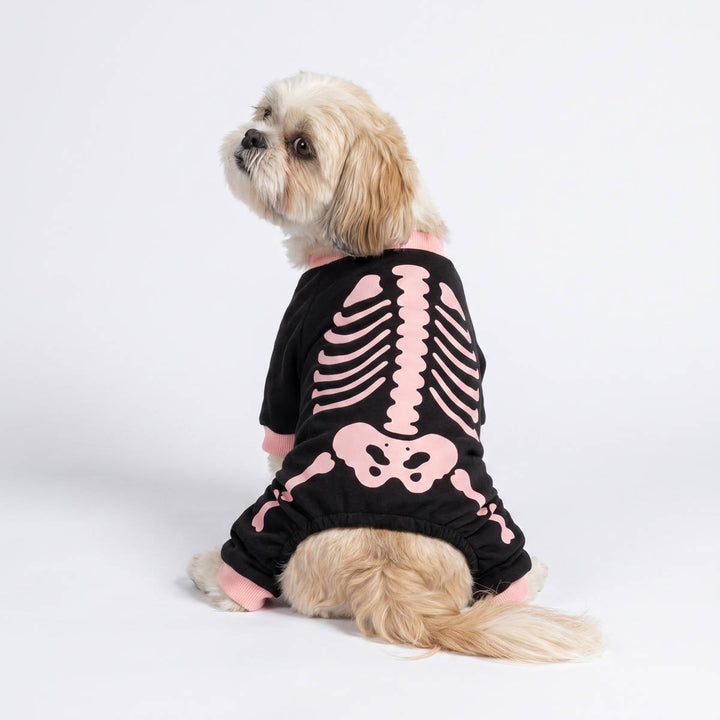 Back view of small fluffy dog wearing a black dog onesie with a pink skeleton bone print, photographed from the back against a clean white studio background